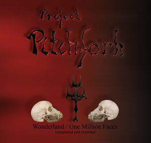 Project Pitchfork - Wonderland, omslag