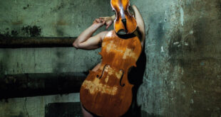 Omslag Agitator - Året av sex