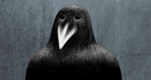 Käften